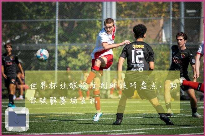 世界杯让球投注判断技巧盘点，助你破解赛场玄机