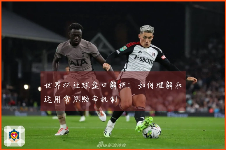世界杯让球盘口解析：如何理解和运用常见赔率机制