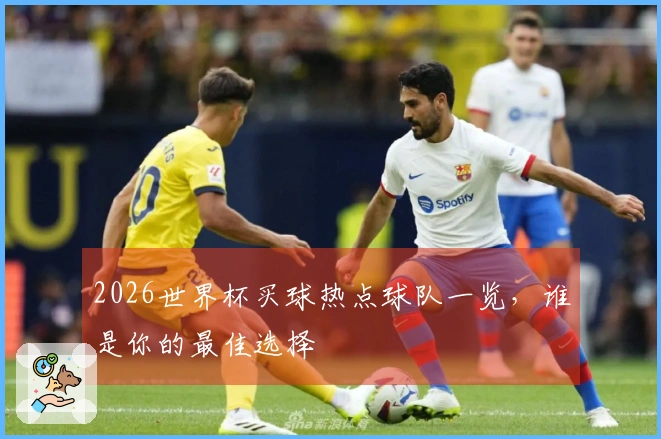 2026世界杯买球热点球队一览，谁是你的最佳选择