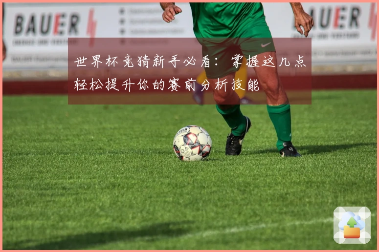 世界杯竞猜新手必看：掌握这几点轻松提升你的赛前分析技能