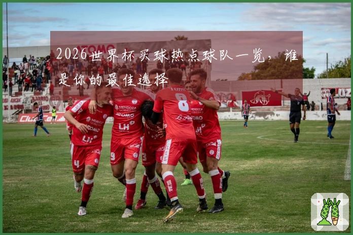 2026世界杯买球热点球队一览，谁是你的最佳选择