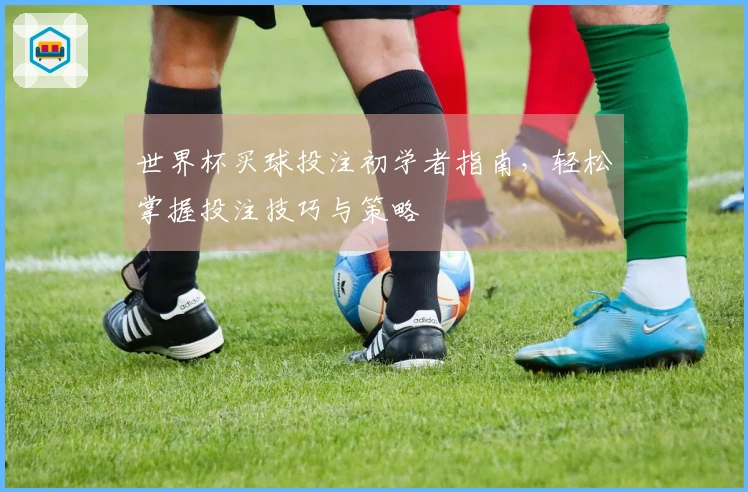 世界杯买球投注初学者指南，轻松掌握投注技巧与策略