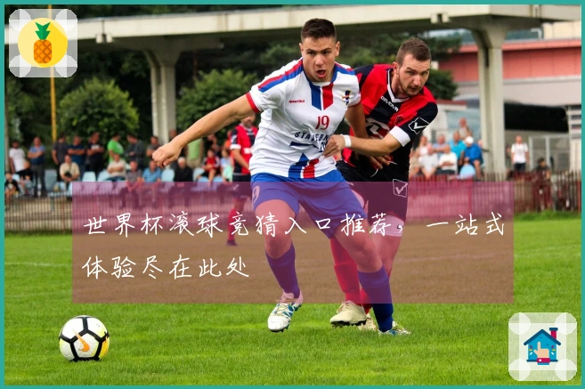 世界杯滚球竞猜入口推荐，一站式体验尽在此处