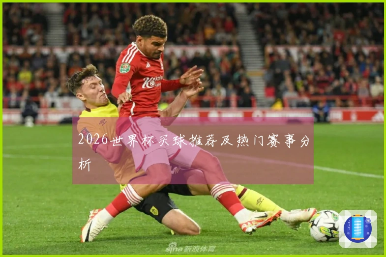 2026世界杯买球推荐及热门赛事分析